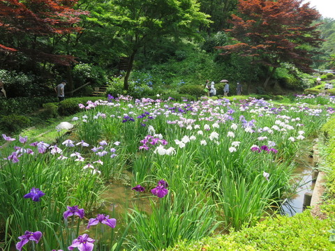 conv0039