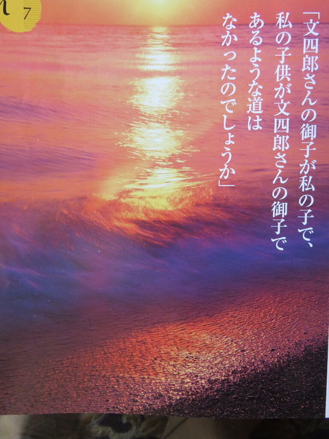 conv0008