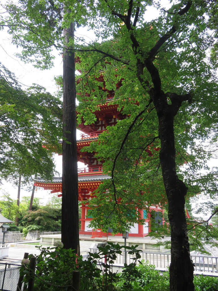 万緑の風景 1 紫陽花の季節 四季八景 壮快山ある記 万緑の風景 1 紫陽花の季節 四季八景 壮快山ある記