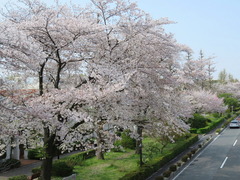 conv0006