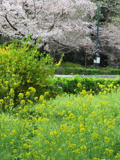 conv0011