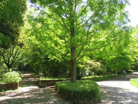 conv0052
