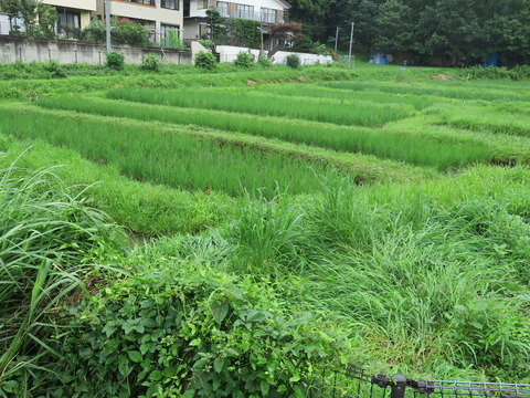 conv0003