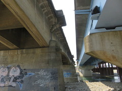 conv0006