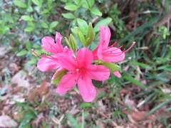 conv0004