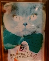つめ