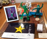 ホシガエル
