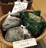 昆布
