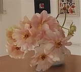 ĹÀ¸¤