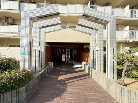 LINE_ALBUM_20251201_251201_3