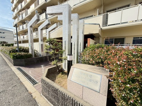 LINE_ALBUM_20251201_251201_4