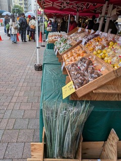 PXL_20251109_015218828