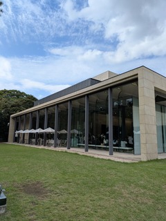 PXL_20251007_043548586