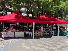 Screenshot_20250720_125849_Instagram