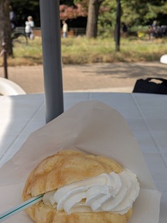 PXL_20251017_033634826