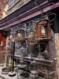 PXL_20251202_062816850