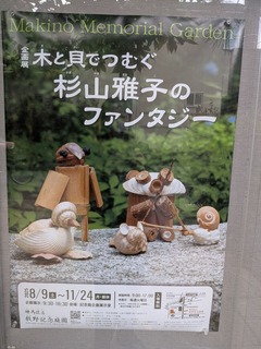 PXL_20251106_044449404