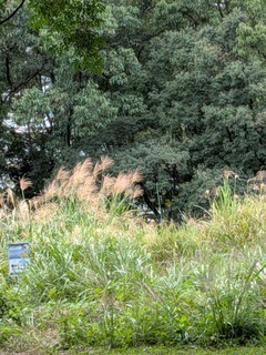 PXL_20261003_054611647