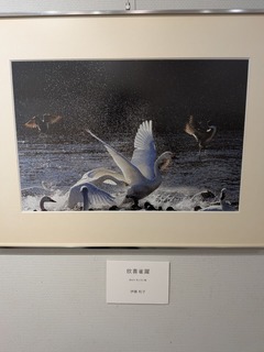 PXL_20251106_035609356