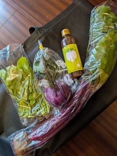 PXL_20251109_035929909