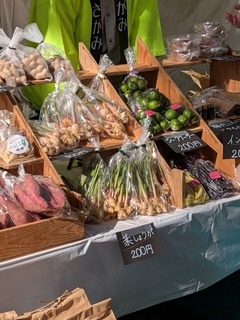 PXL_20251115_014703428