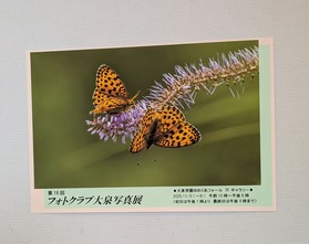 PXL_20251106_034822972