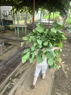 mitene9D463F6F-2539-44E9-83A3-0268756254A5