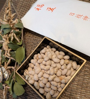 PXL_20260203_051807599