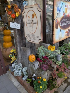 PXL_20251028_050821329