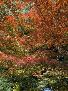 PXL_20251120_025235747