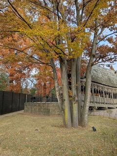 PXL_20251202_055735403