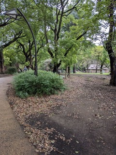 PXL_20260915_022356672