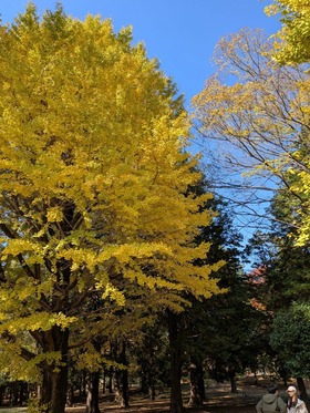 PXL_20251115_020012442