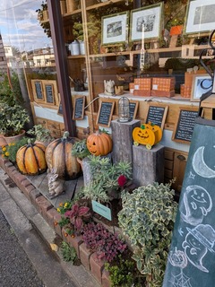 PXL_20251028_050827017