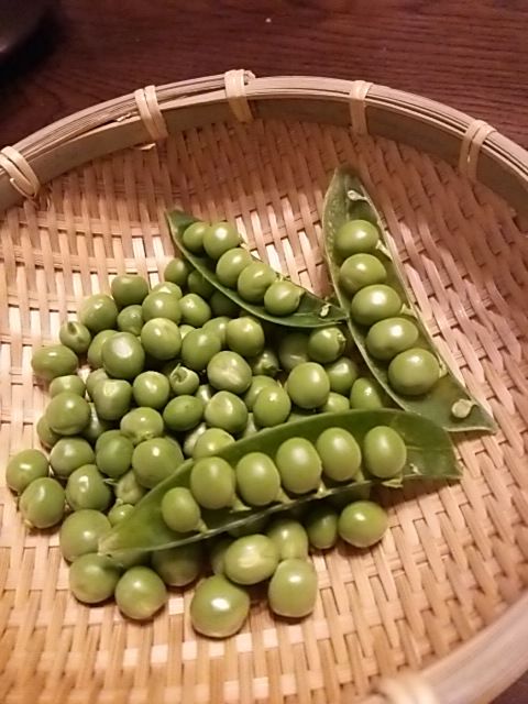 イメージ 3