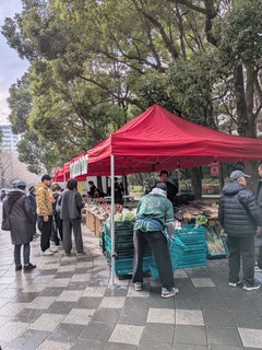 PXL_20251221_011537567