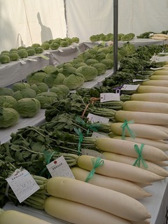 PXL_20251115_013046956