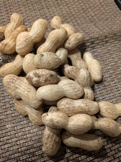 PXL_20251008_084833791