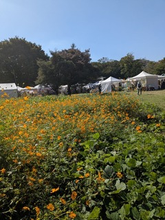 PXL_20251017_022452219