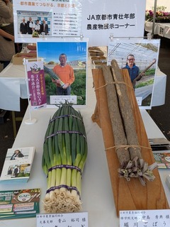 PXL_20251115_013009571