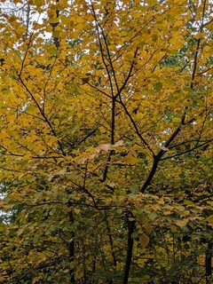 PXL_20251106_042646621