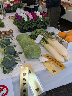 PXL_20251115_012957574