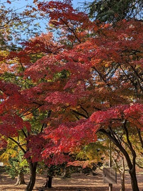 PXL_20251115_020112507