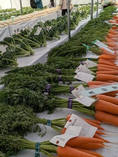 PXL_20251115_013032075