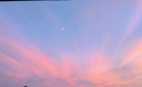 PXL_20251029_075725846~2