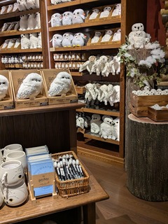 PXL_20251202_035501480