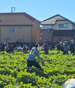 Screenshot_20241201_220203_Gallery