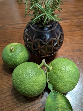 PXL_20251012_141033529