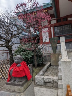 PXL_20260120_041705879