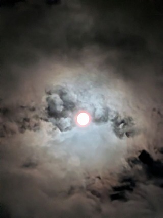 NIGHT